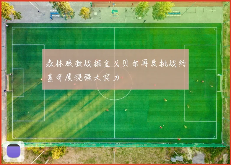 森林狼激战掘金戈贝尔再度挑战约基奇展现强大实力